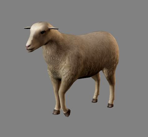 Sheep Animations- LowPoly- Game Ready