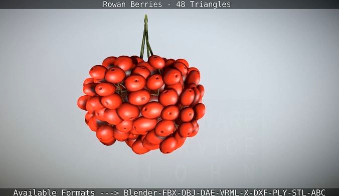 Rowan Berries Low-Poly