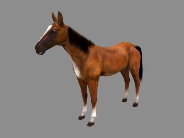 Modal Horse1