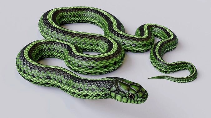 Animated Green Snake