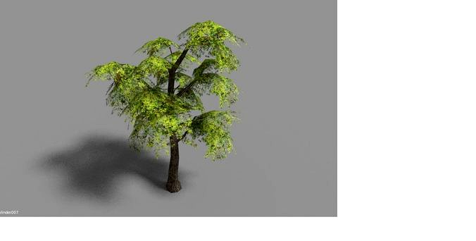 low poly leaf tree