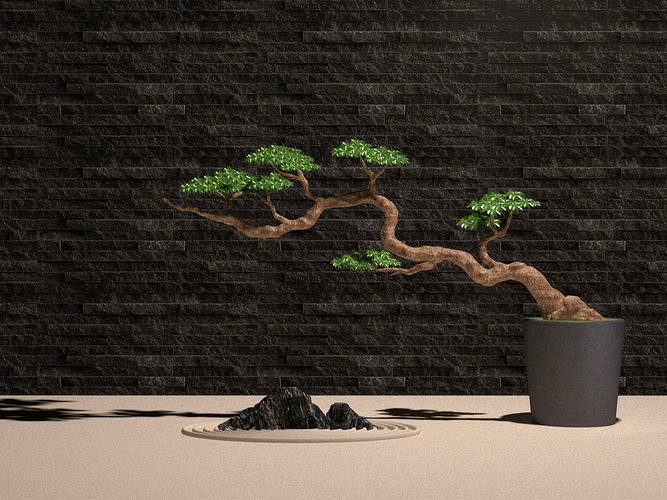 Plant  Potted  Bonsai  Tree  Stone  Landscape Stone  White Water