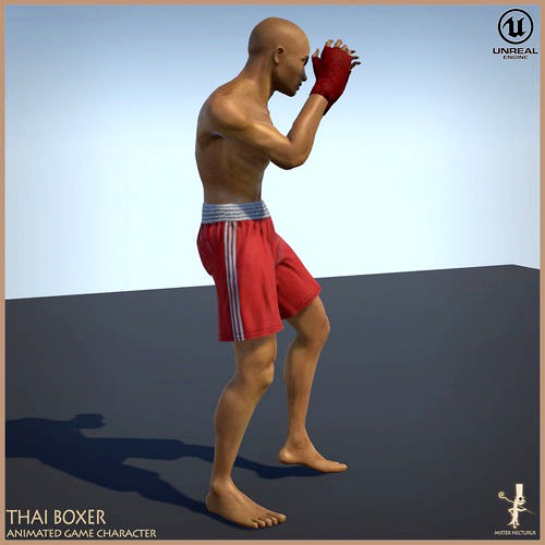 Thai Boxer Unity And Unreal Animation Collection