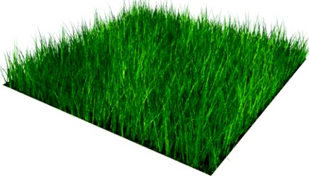Grass Block High Density 05x05m 3D Model