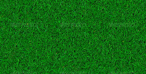 Short Realistic Grass