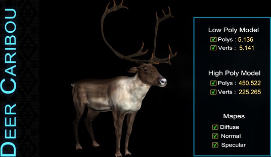 Deer Caribou