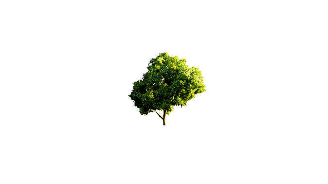 Low Poly Tree Stylish