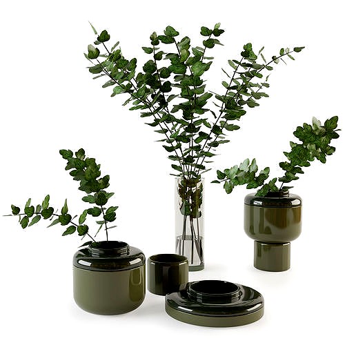 Decorative set with plants