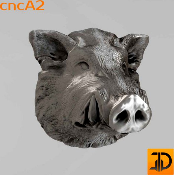 Muzzle boar 3D Model