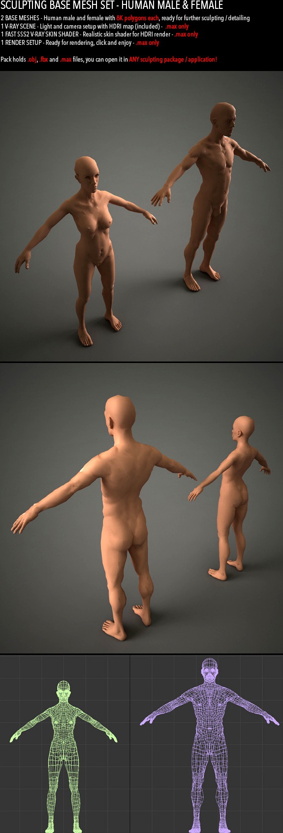 Sculpting Base Mesh Pack - Human Male and Female