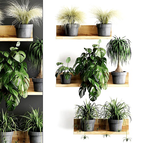 Plant set wall decor vertical garden 48