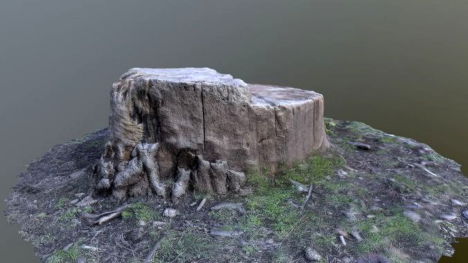 Tree stump Photo scanned lowpolly