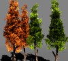 Tree Pack 1BlackGum 3D Model