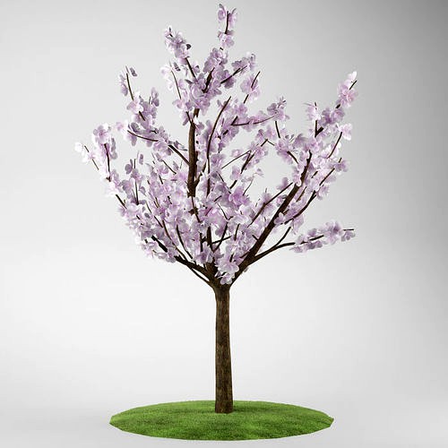 Flower tree magnolia 02