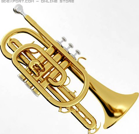 Cornet 3D Model