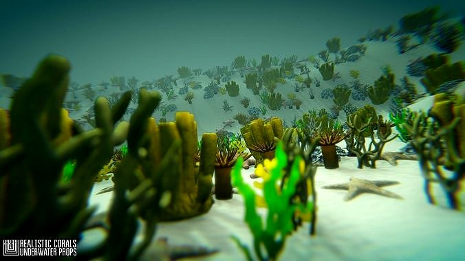 Realistic corals - underwater props