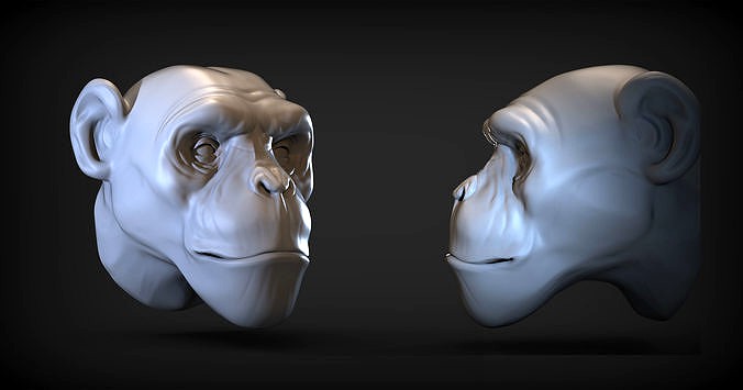 Monkey head  | 3D