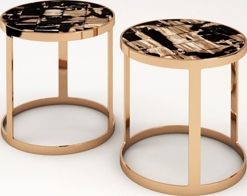 Hudson - Petrified wood end table