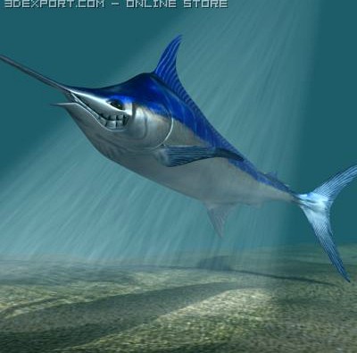 Blue marlin toon fish 3D 3D Model