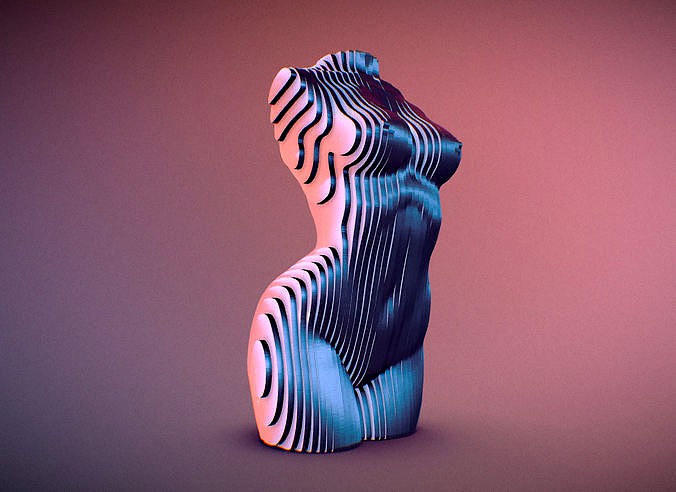 Sliced Female Torso Model | 3D