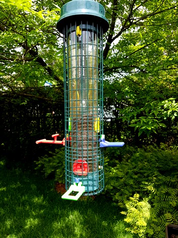 Squirrel Buster bird feeders upgrades
