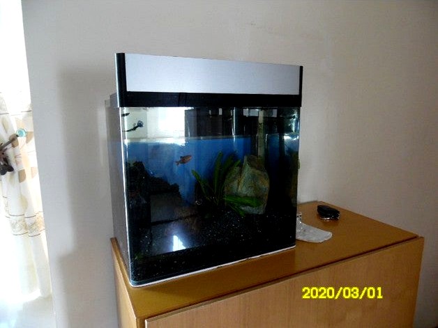 Fish tank cover - with built in LED light