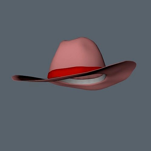 Stetson Style Western Hat