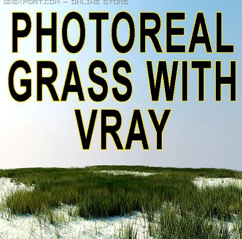 Vray Grass Tutorial 3D Model