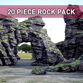 Gray Mossy Rock Pack