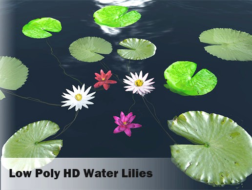 Water Flowers
