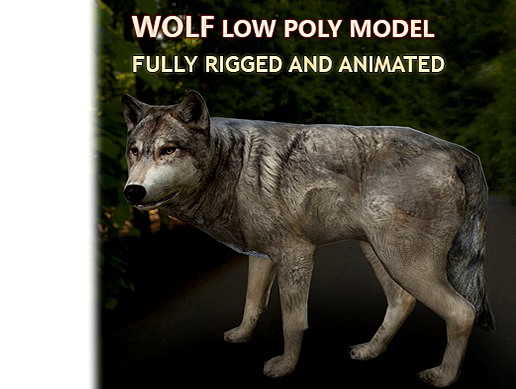Wolf Rigged, Animated and Textured