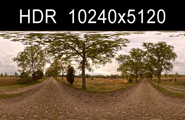 Road with Trees 2 HDR 3D Model