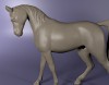 Horse 3D Model