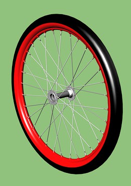 Spoked bicycle wheel, 32 spokes.