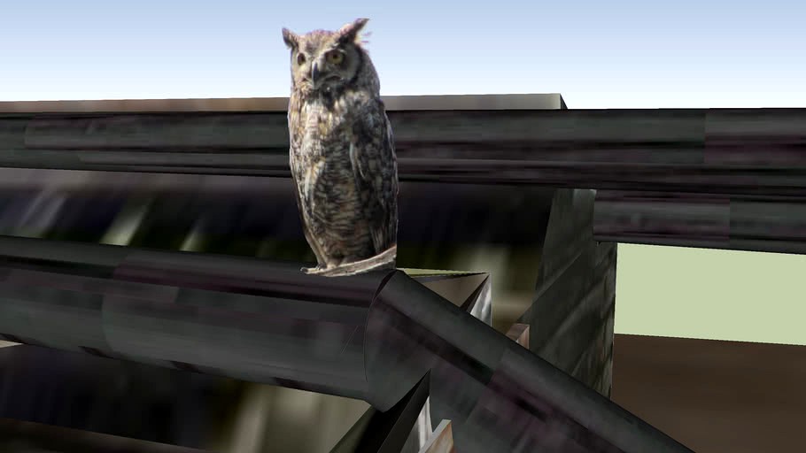 Foidel Creek Owl's Cabin