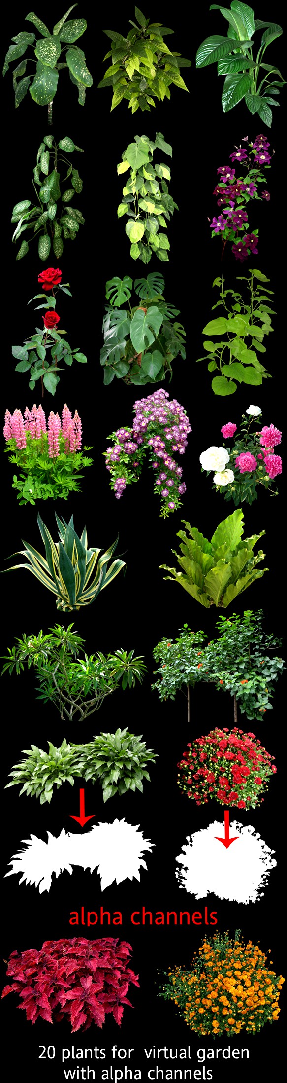 Plants for 3D scenes