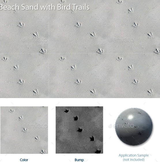 Beach Sand with Bird Trails