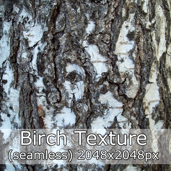Brich Texture (seamless)