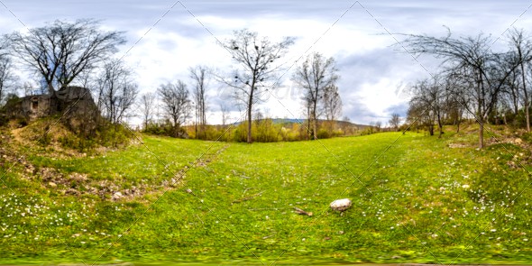 HDRI Tree And Grass Field