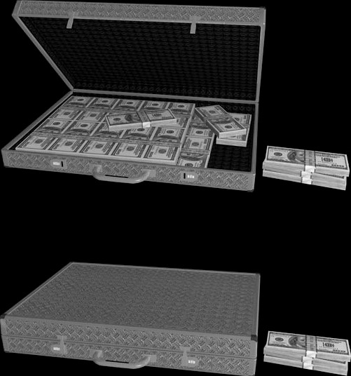 Briefcase with Money