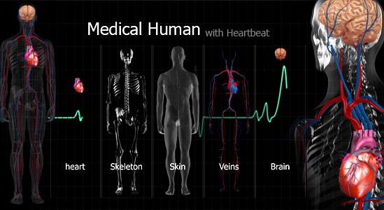 Medical Human