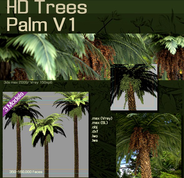 HD Trees :  Palm V1
