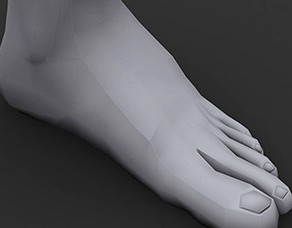 Human Male Foot Low Poly