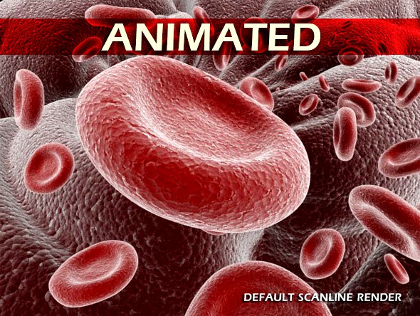 Red Blood Cells Animated