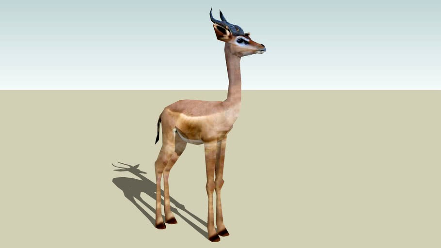 Gerenuk Antelope/Gazelle Photo Textured