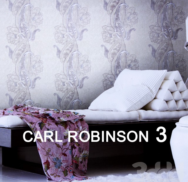 CARL ROBINSON EDITION 3