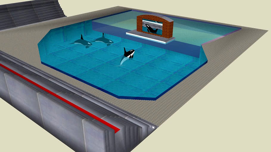 Killer whale tank