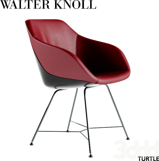 Walter Knoll Turtle