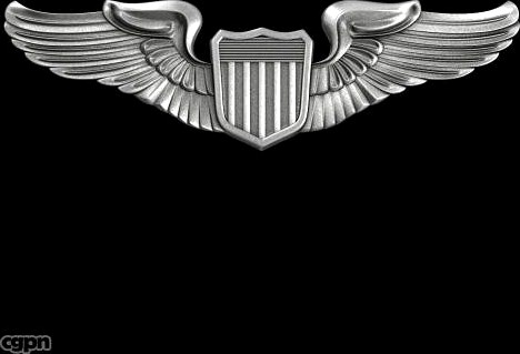 USAF Wings Pilot Badge3d model
