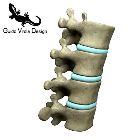 Lumbar Vertebrae 3D Model